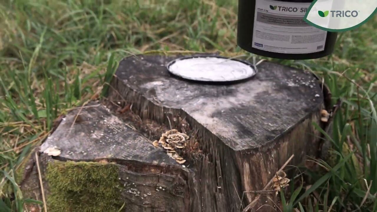 Watch our TRICO<sup>®</sup> Product Use Videos