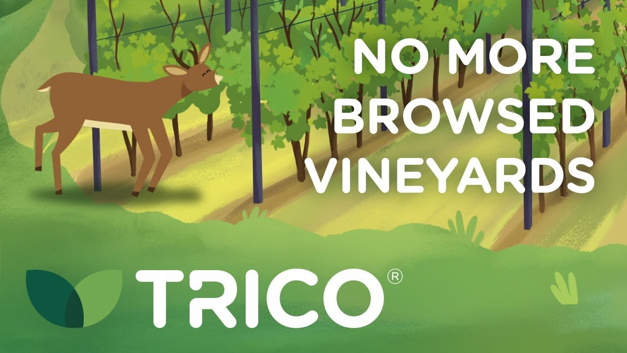 Watch our TRICO<sup>®</sup> Animation Videos