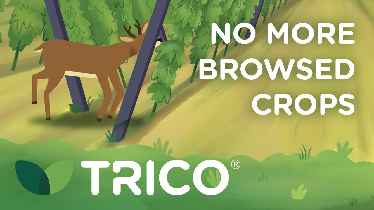 Watch our TRICO<sup>®</sup> Animation Videos