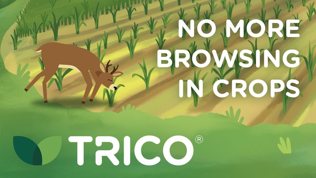 Watch our TRICO<sup>®</sup> Animation Videos