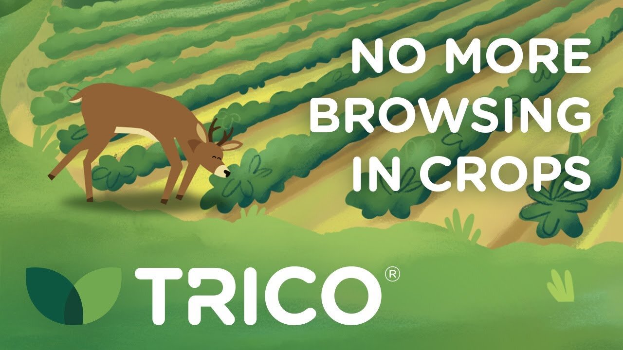 Watch our TRICO<sup>®</sup> Animation Videos